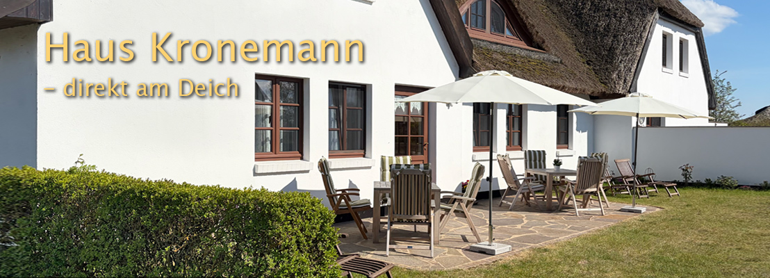 Die Weite der Insel Hiddensee genießen - im Ferienhaus Kronemann in Neuendorf